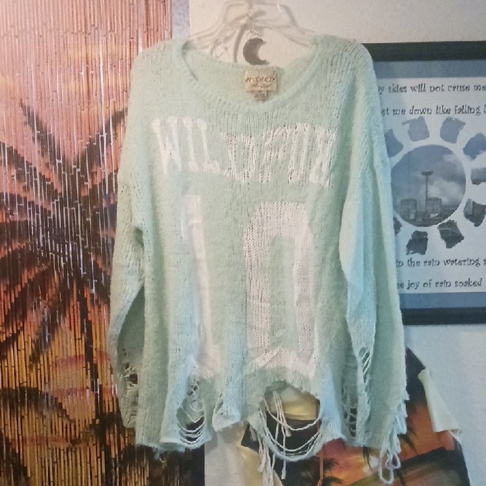 Wildfox Distressed Mint Sweater